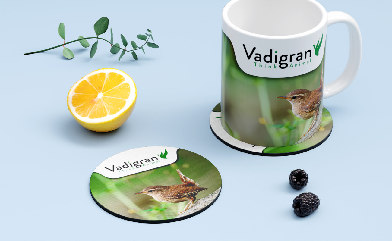 Surf - Coastere med logo